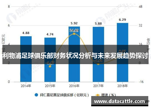 利物浦足球俱乐部财务状况分析与未来发展趋势探讨