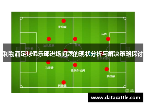 利物浦足球俱乐部进场问题的现状分析与解决策略探讨