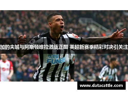 加的夫城与阿斯顿维拉激战正酣 英超新赛季精彩对决引关注