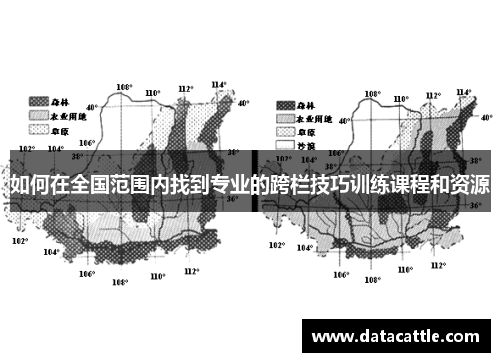 如何在全国范围内找到专业的跨栏技巧训练课程和资源