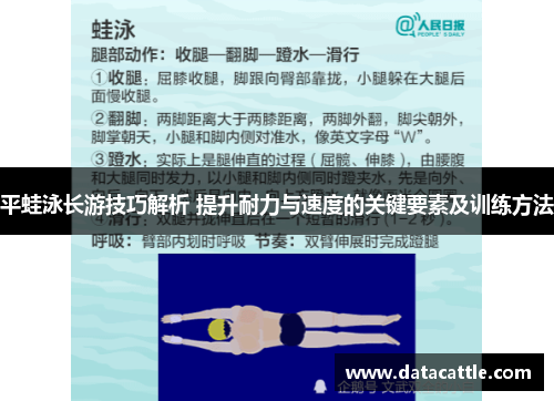 平蛙泳长游技巧解析 提升耐力与速度的关键要素及训练方法