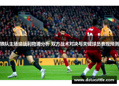 狼队主场迎战利物浦分析 双方战术对决与关键球员表现预测