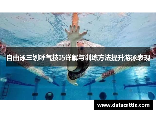 自由泳三划呼气技巧详解与训练方法提升游泳表现