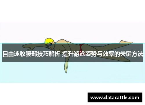自由泳收腰部技巧解析 提升游泳姿势与效率的关键方法