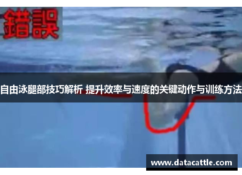 自由泳腿部技巧解析 提升效率与速度的关键动作与训练方法