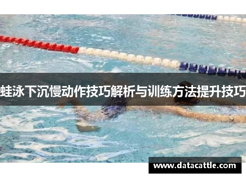 蛙泳下沉慢动作技巧解析与训练方法提升技巧