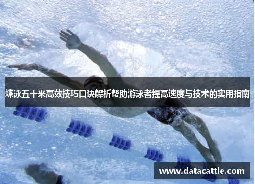 蝶泳五十米高效技巧口诀解析帮助游泳者提高速度与技术的实用指南