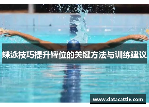 蝶泳技巧提升臀位的关键方法与训练建议