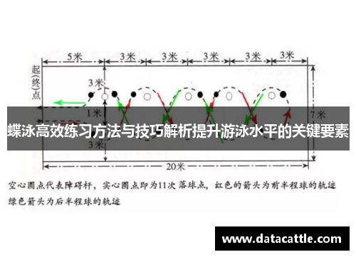 蝶泳高效练习方法与技巧解析提升游泳水平的关键要素