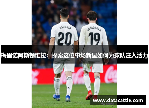 梅里诺阿斯顿维拉：探索这位中场新星如何为球队注入活力