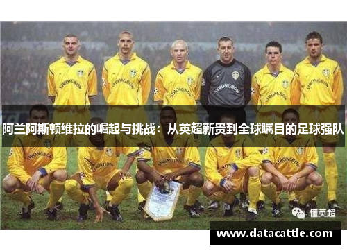 阿兰阿斯顿维拉的崛起与挑战：从英超新贵到全球瞩目的足球强队