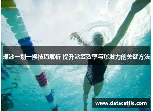 蝶泳一划一换技巧解析 提升泳姿效率与爆发力的关键方法