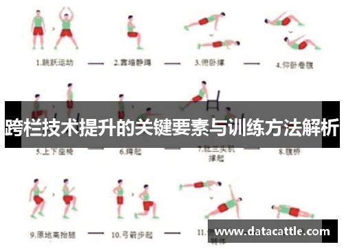 跨栏技术提升的关键要素与训练方法解析