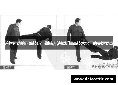 跨栏运动的正确技巧与训练方法解析提高技术水平的关键要点
